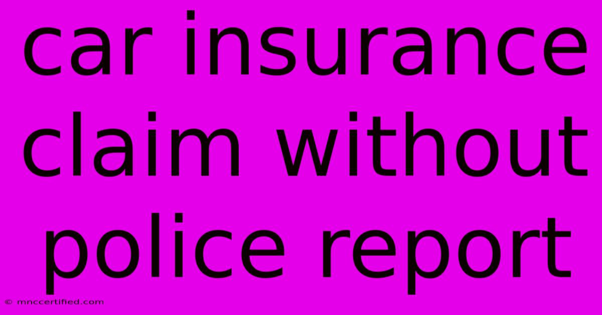 Car Insurance Claim Without Police Report