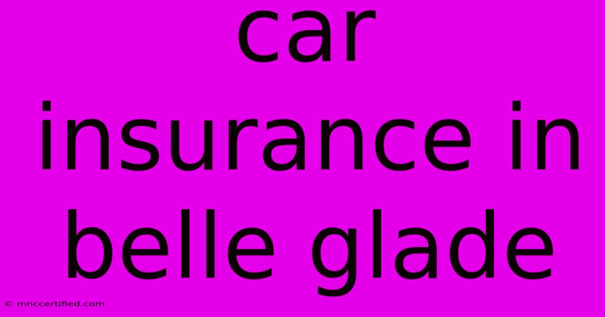 Car Insurance In Belle Glade