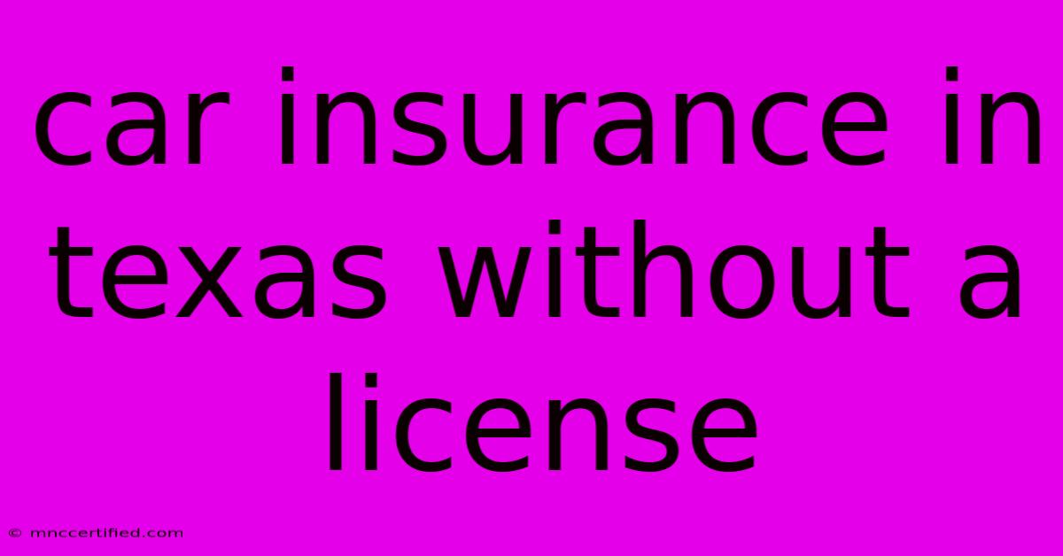 Car Insurance In Texas Without A License