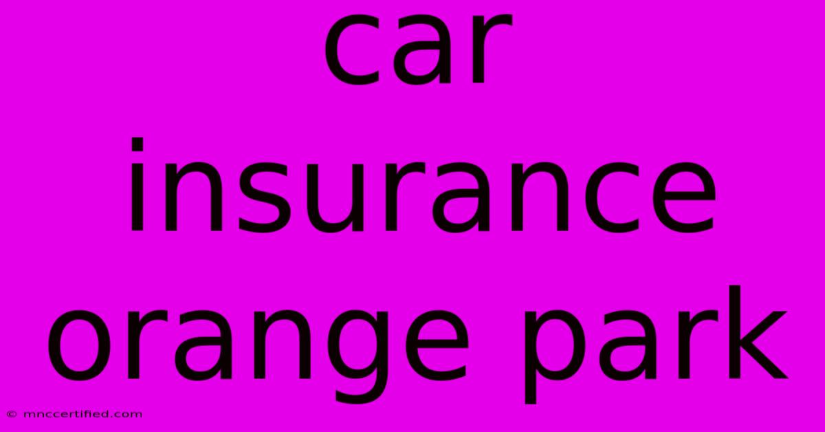 Car Insurance Orange Park