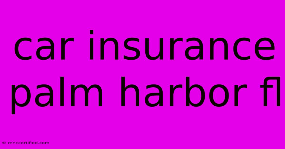 Car Insurance Palm Harbor Fl