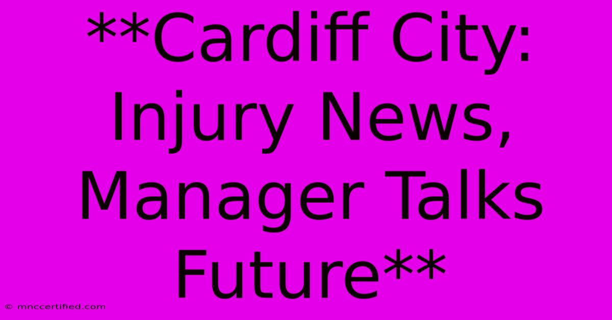 **Cardiff City: Injury News, Manager Talks Future**