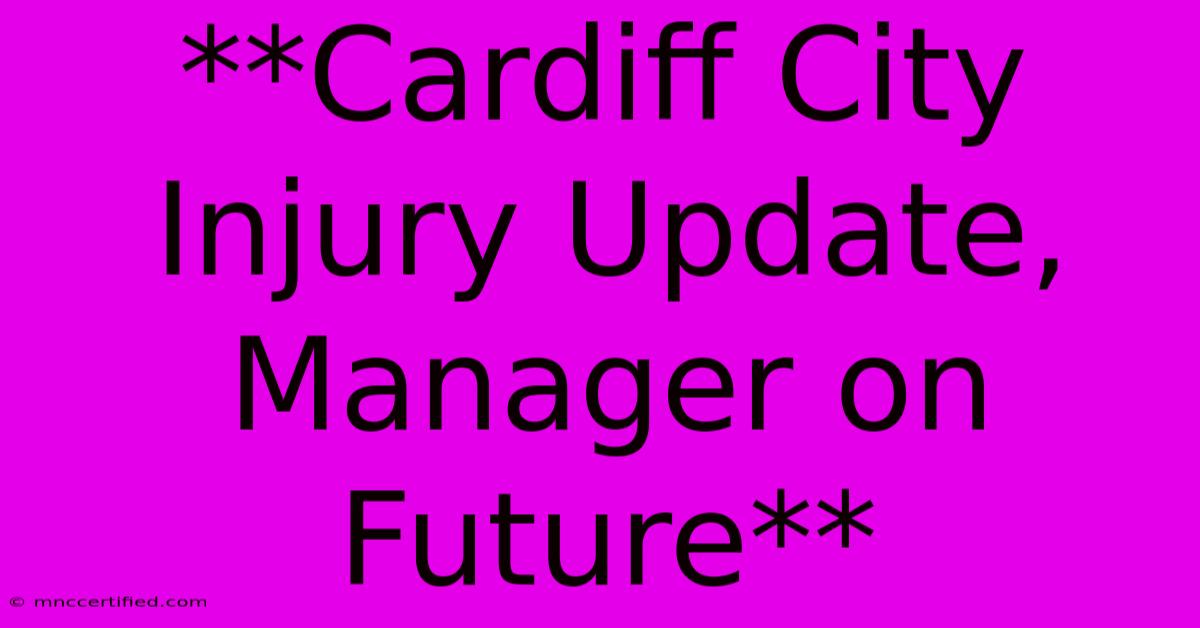 **Cardiff City Injury Update, Manager On Future**