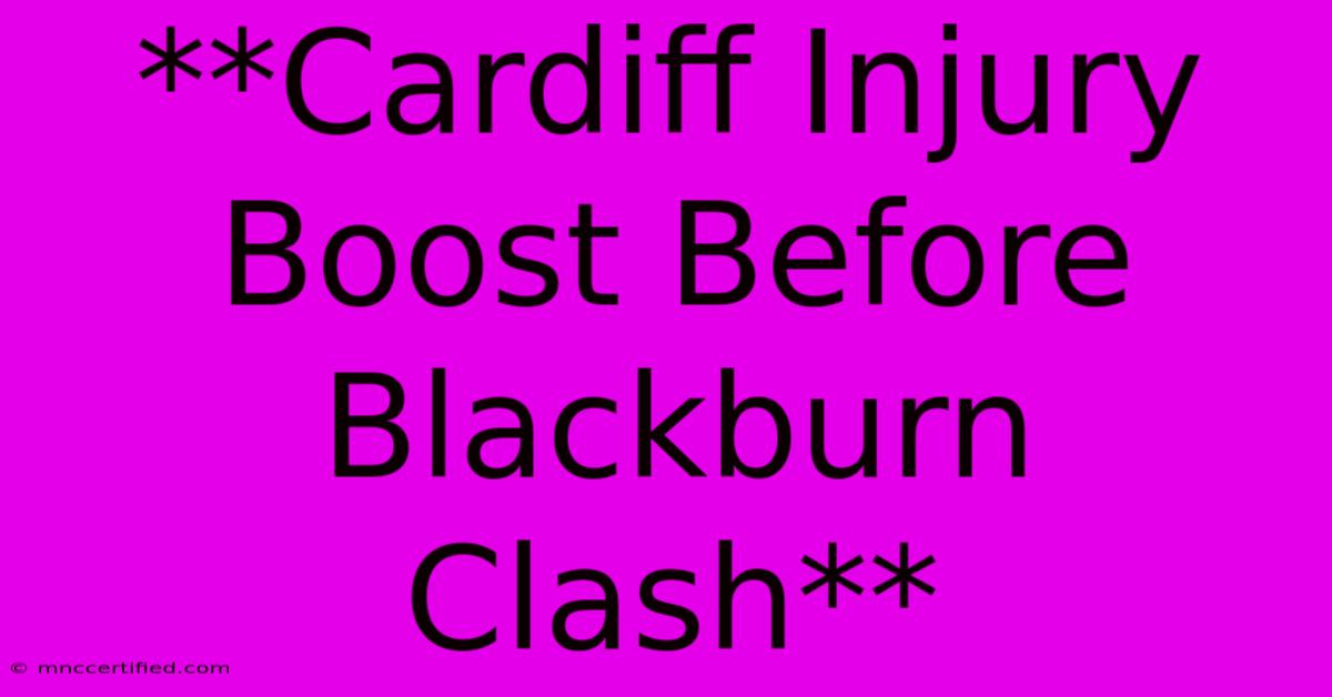 **Cardiff Injury Boost Before Blackburn Clash**