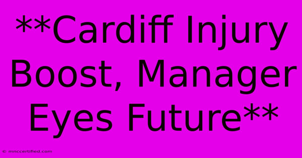 **Cardiff Injury Boost, Manager Eyes Future**