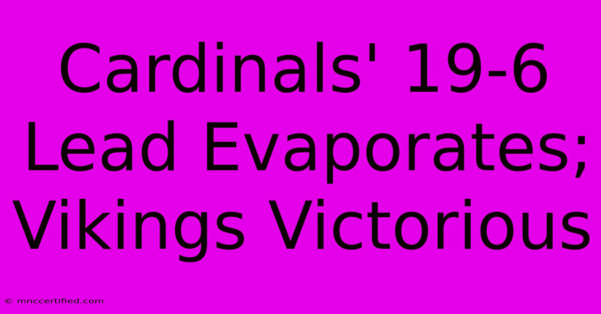 Cardinals' 19-6 Lead Evaporates; Vikings Victorious