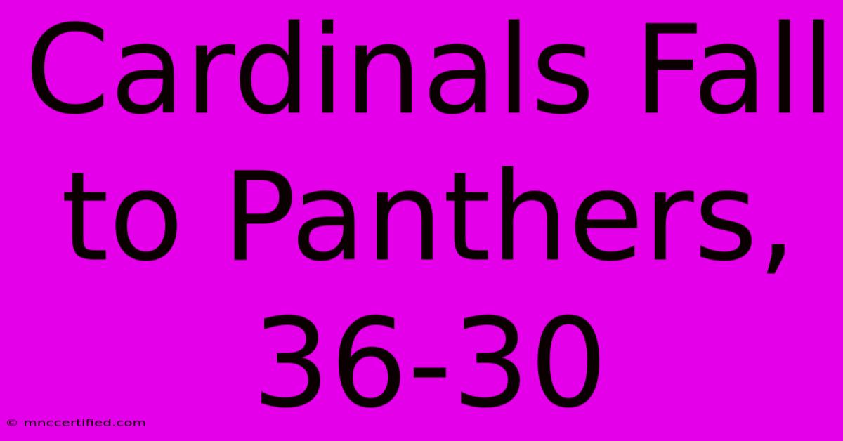 Cardinals Fall To Panthers, 36-30