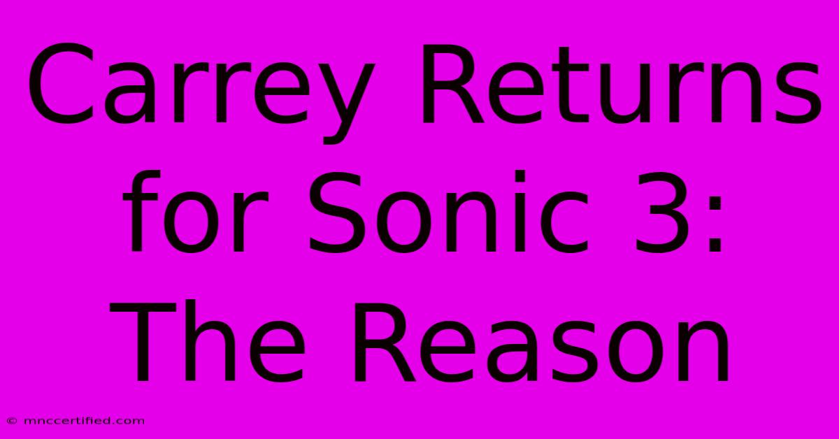 Carrey Returns For Sonic 3: The Reason