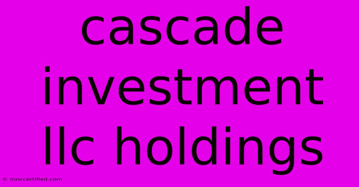 Cascade Investment Llc Holdings