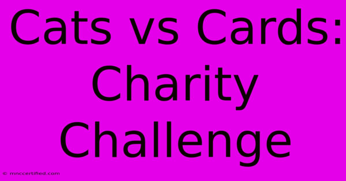 Cats Vs Cards: Charity Challenge