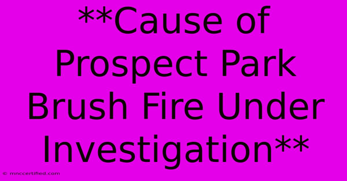 **Cause Of Prospect Park Brush Fire Under Investigation**