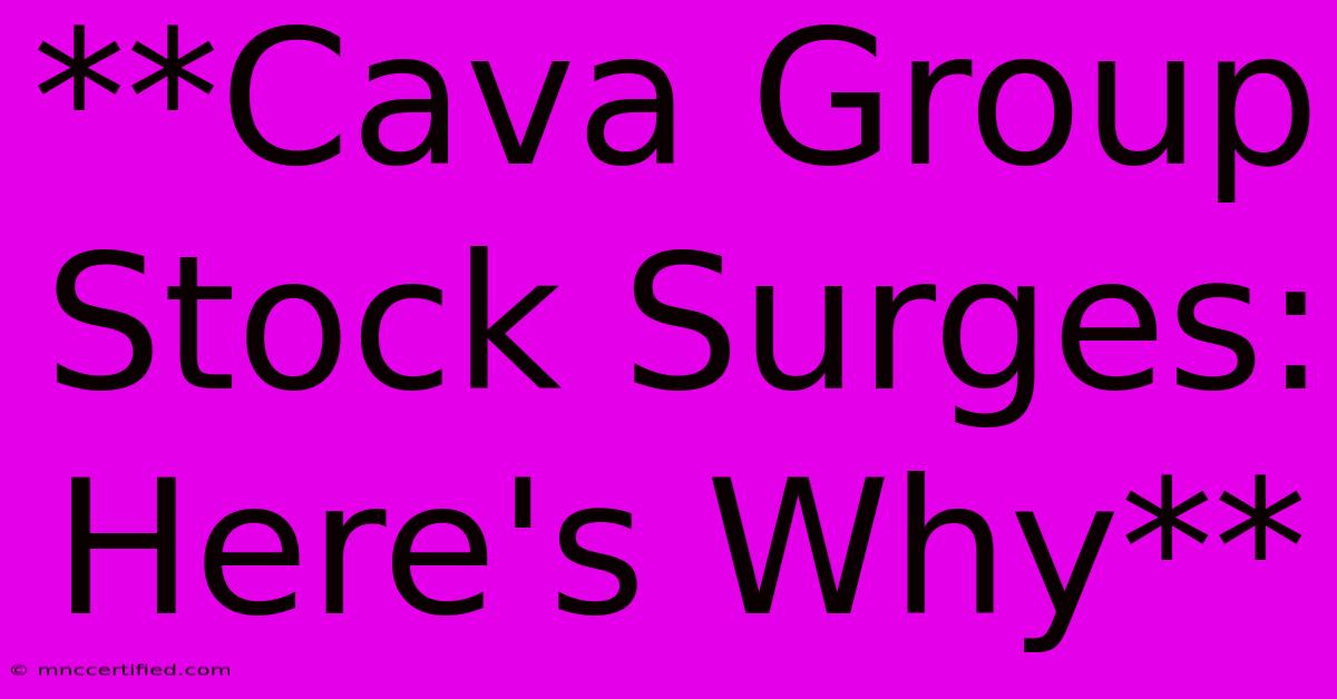 **Cava Group Stock Surges: Here's Why**