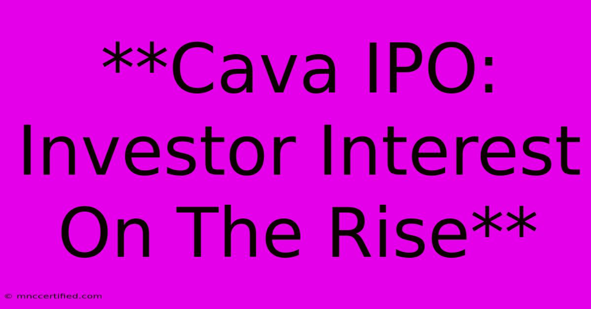 **Cava IPO: Investor Interest On The Rise** 