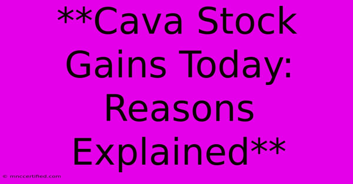 **Cava Stock Gains Today: Reasons Explained** 