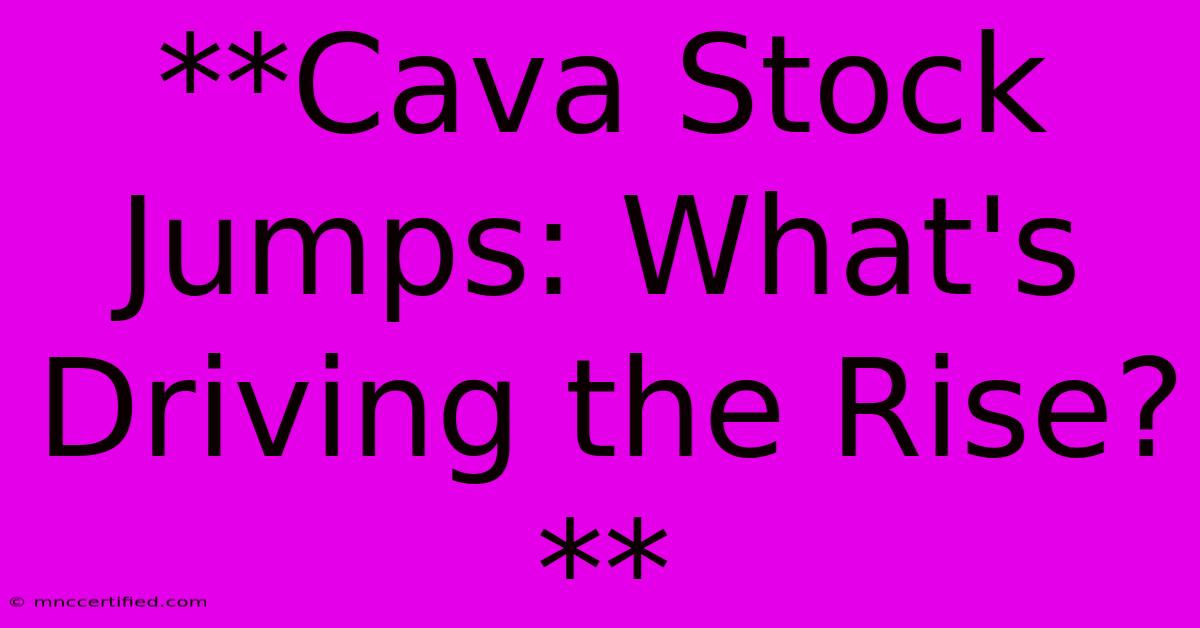 **Cava Stock Jumps: What's Driving The Rise?**