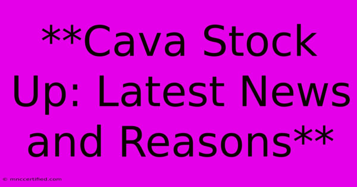 **Cava Stock Up: Latest News And Reasons**