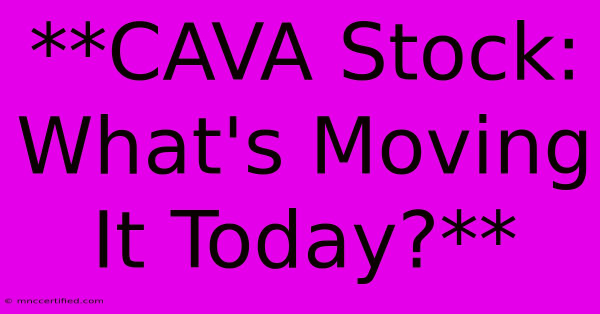 **CAVA Stock: What's Moving It Today?**