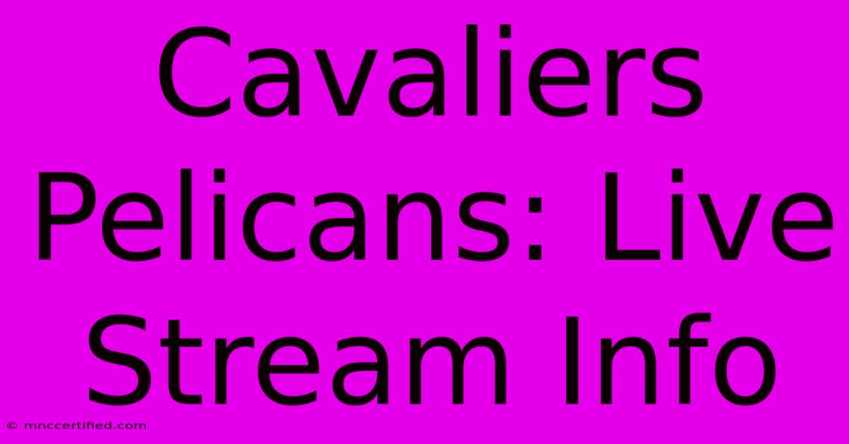 Cavaliers Pelicans: Live Stream Info