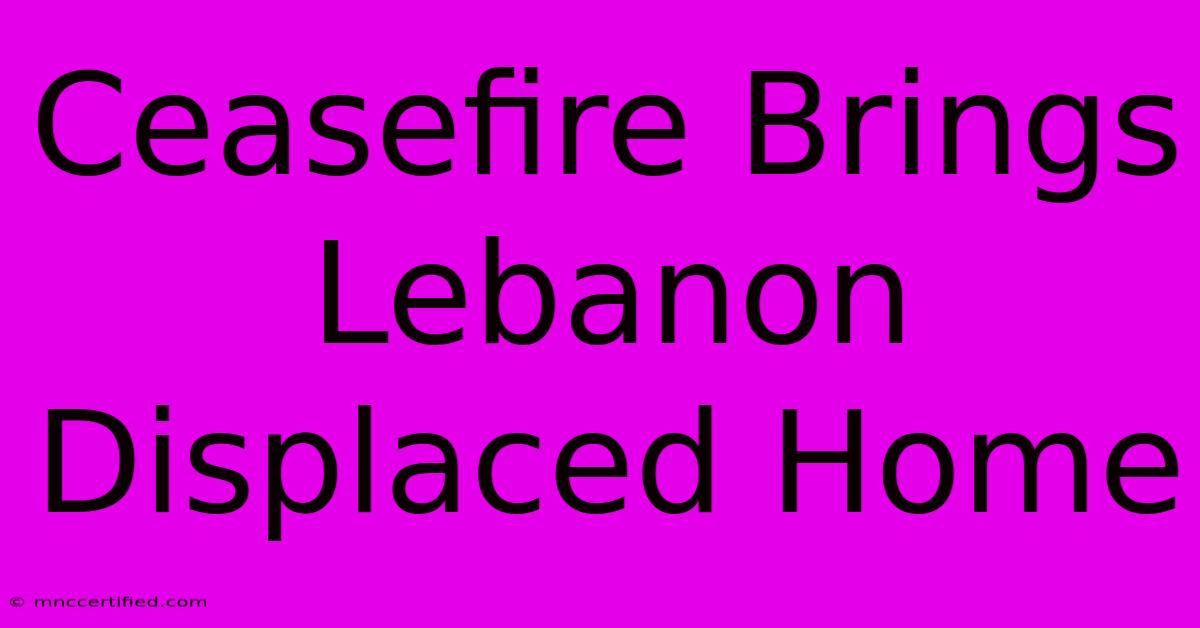 Ceasefire Brings Lebanon Displaced Home