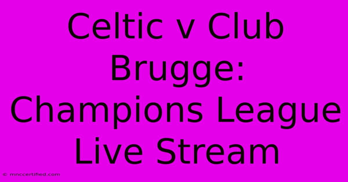 Celtic V Club Brugge: Champions League Live Stream