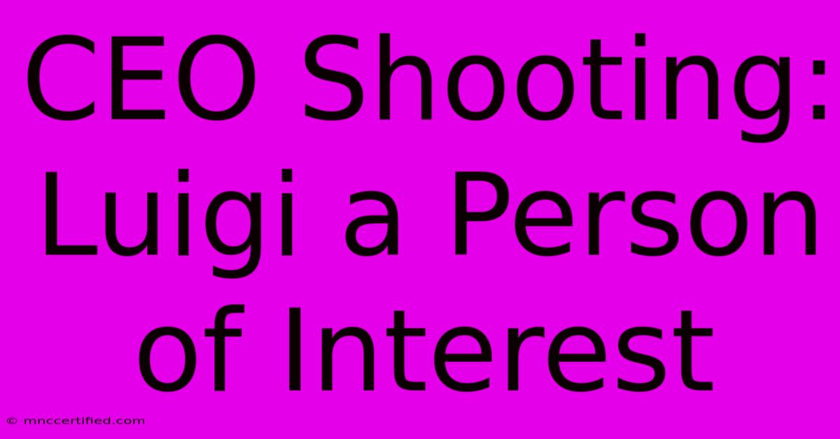 CEO Shooting:  Luigi A Person Of Interest