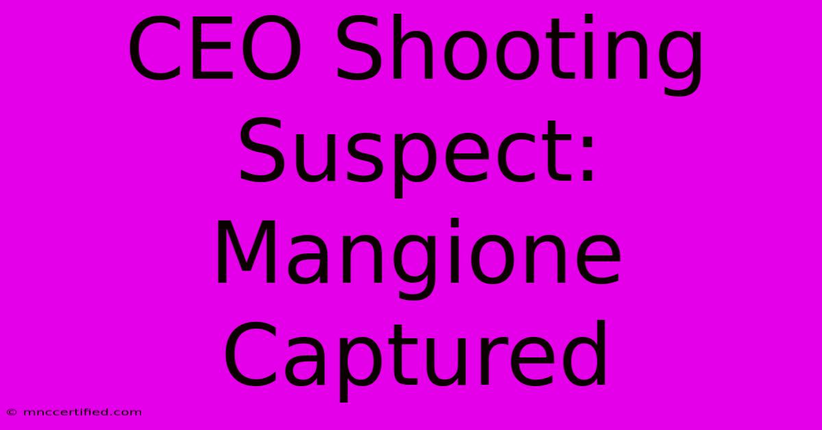 CEO Shooting Suspect: Mangione Captured