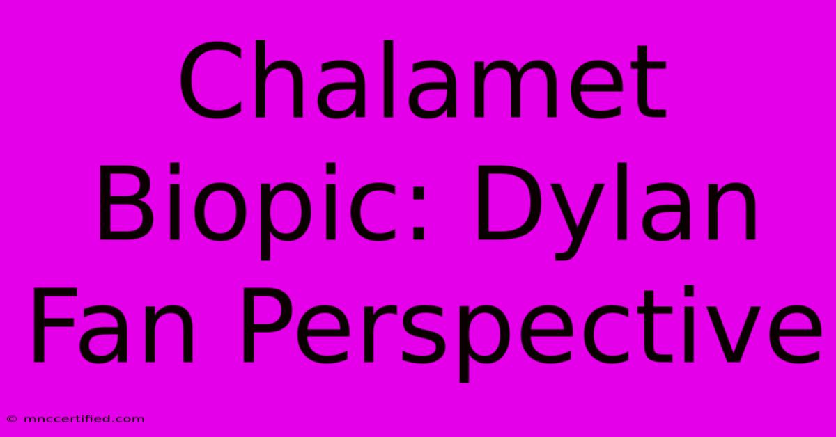 Chalamet Biopic: Dylan Fan Perspective