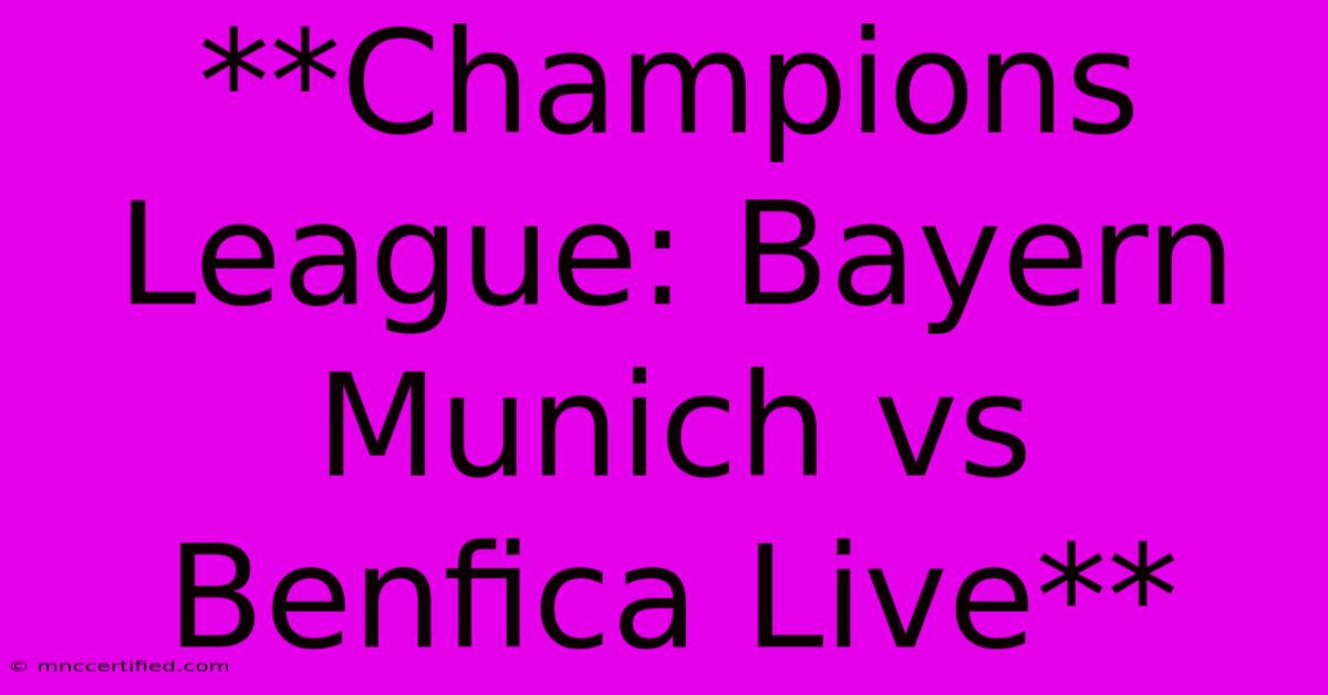 **Champions League: Bayern Munich Vs Benfica Live**