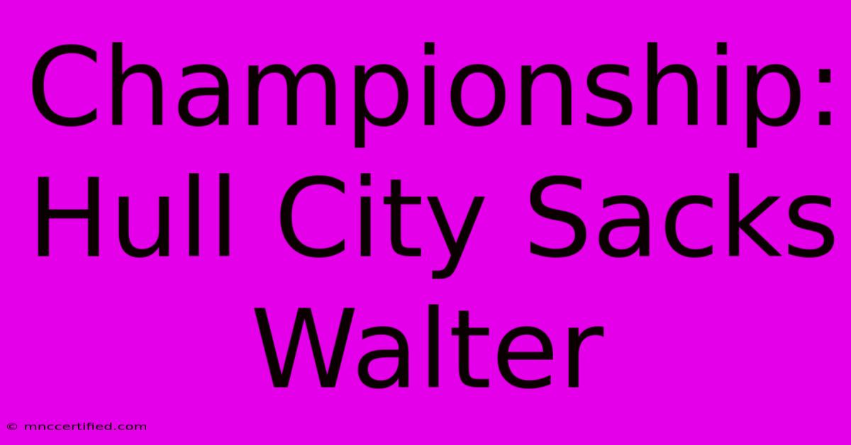 Championship: Hull City Sacks Walter