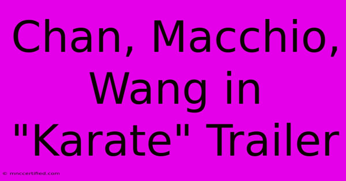 Chan, Macchio, Wang In 