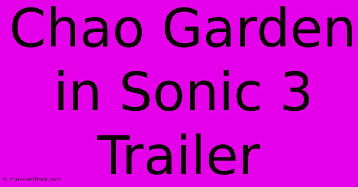 Chao Garden In Sonic 3 Trailer