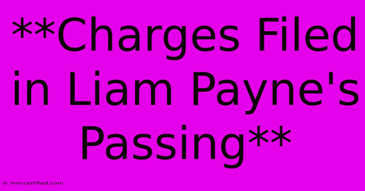 **Charges Filed In Liam Payne's Passing**