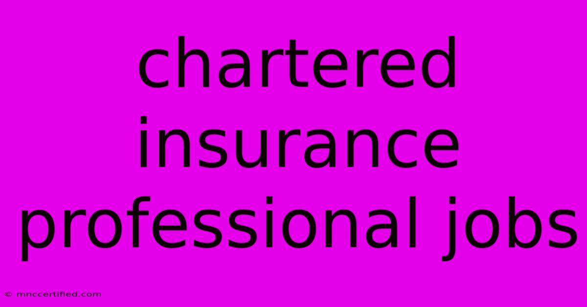 Chartered Insurance Professional Jobs