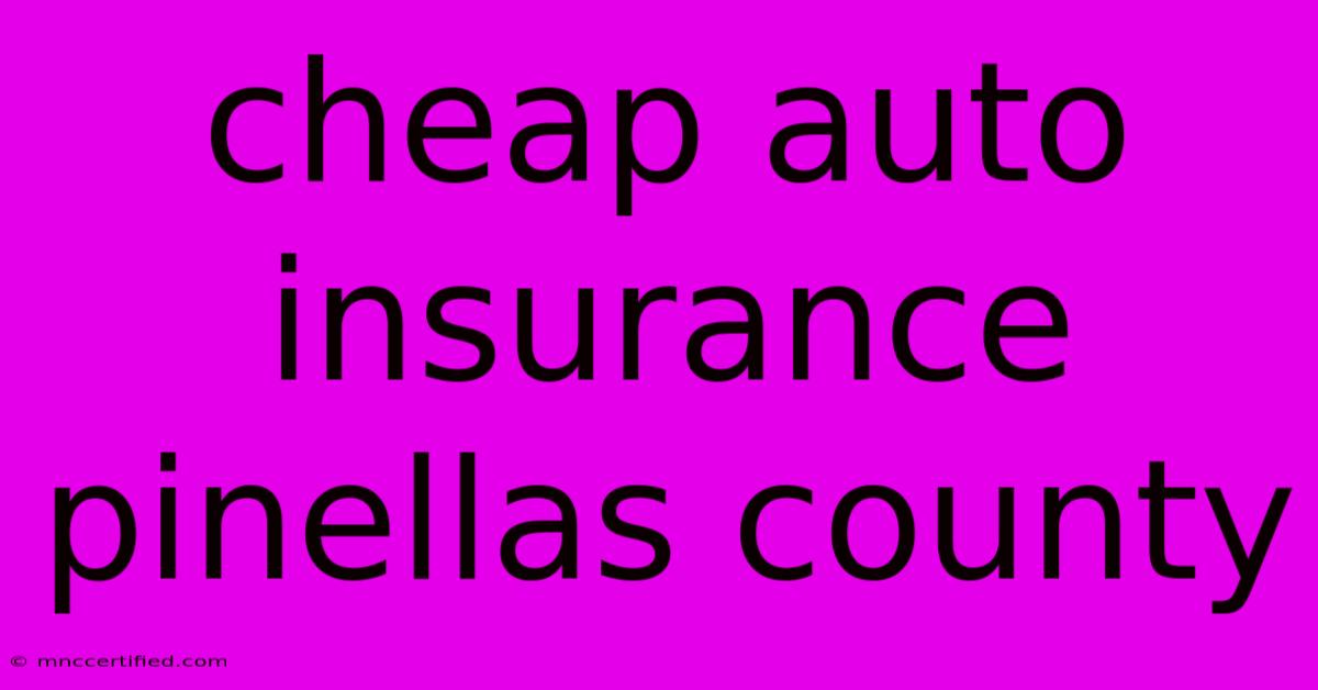 Cheap Auto Insurance Pinellas County