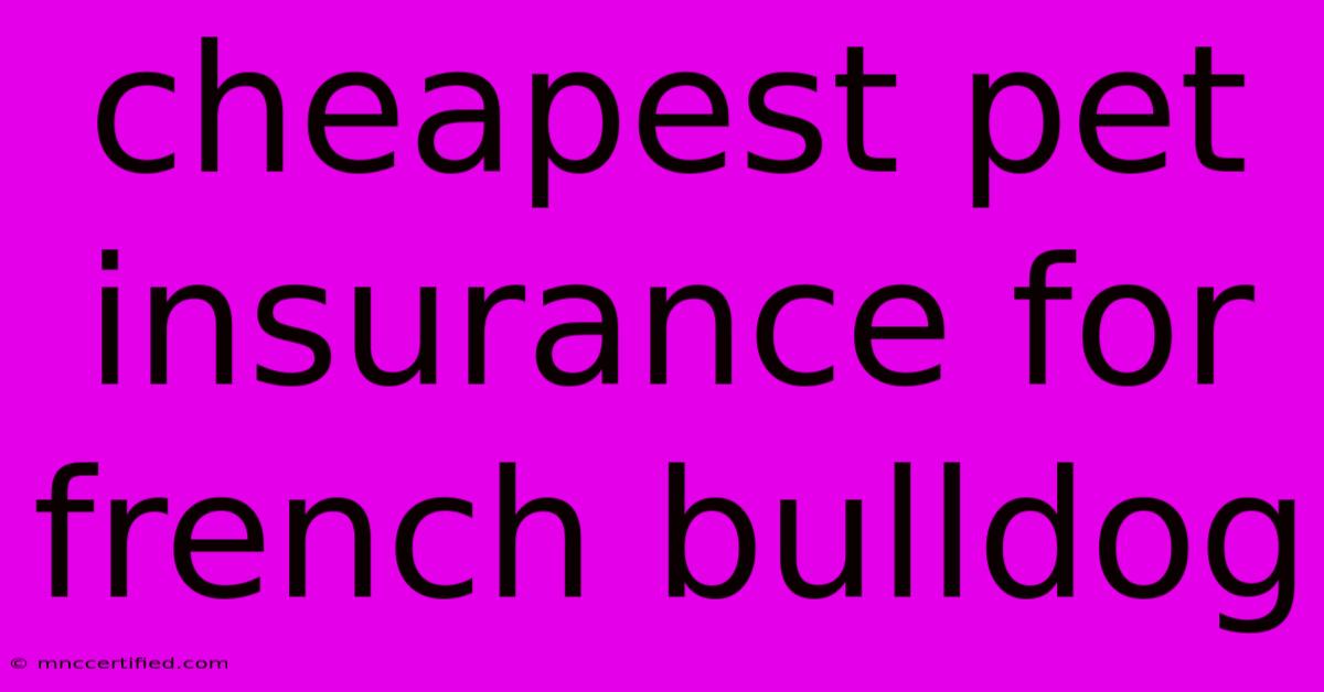 Cheapest Pet Insurance For French Bulldog