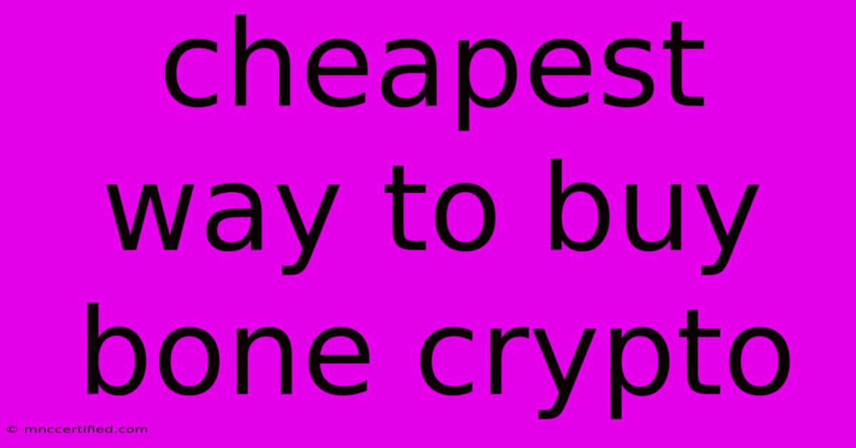 Cheapest Way To Buy Bone Crypto