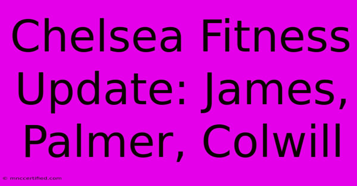 Chelsea Fitness Update: James, Palmer, Colwill