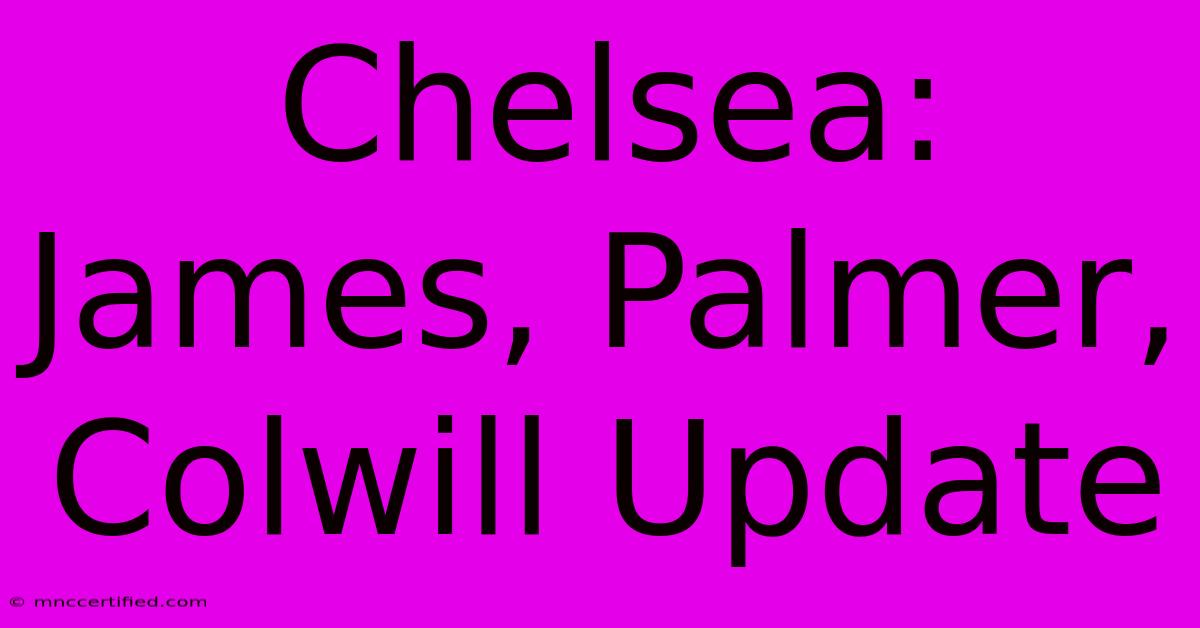 Chelsea: James, Palmer, Colwill Update