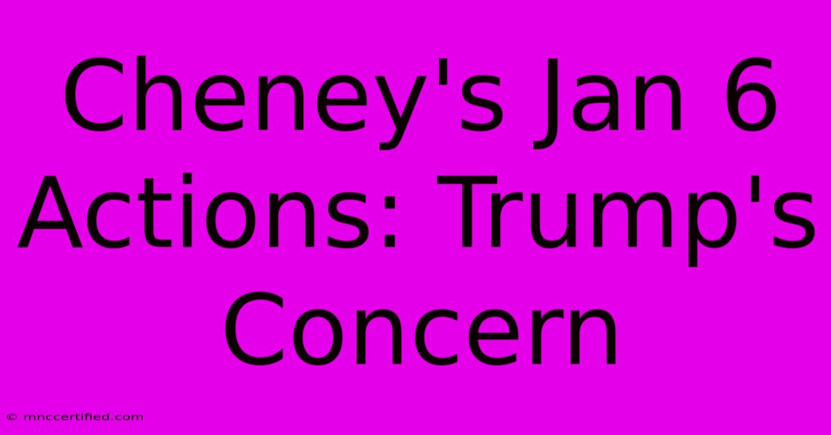 Cheney's Jan 6 Actions: Trump's Concern