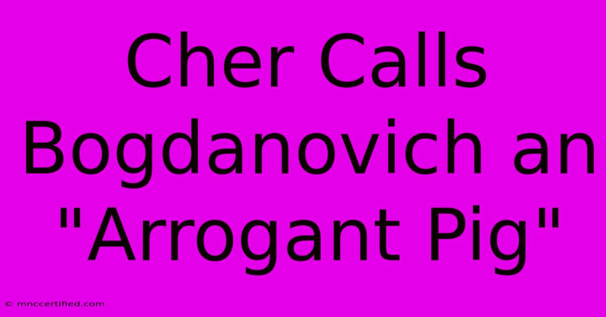 Cher Calls Bogdanovich An 