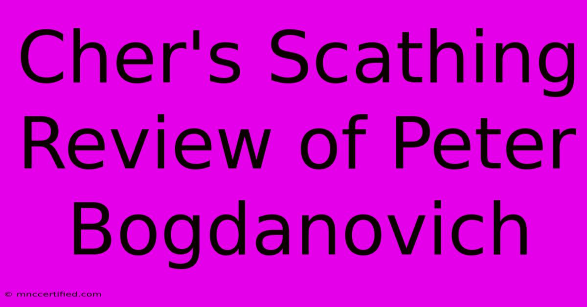 Cher's Scathing Review Of Peter Bogdanovich