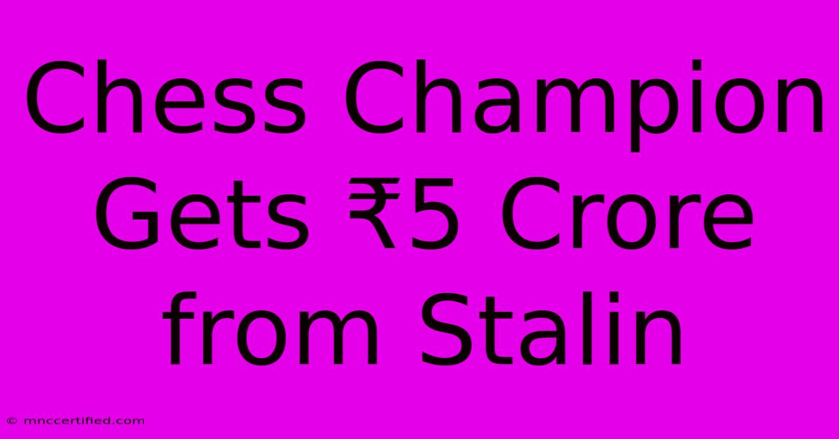 Chess Champion Gets ₹5 Crore From Stalin