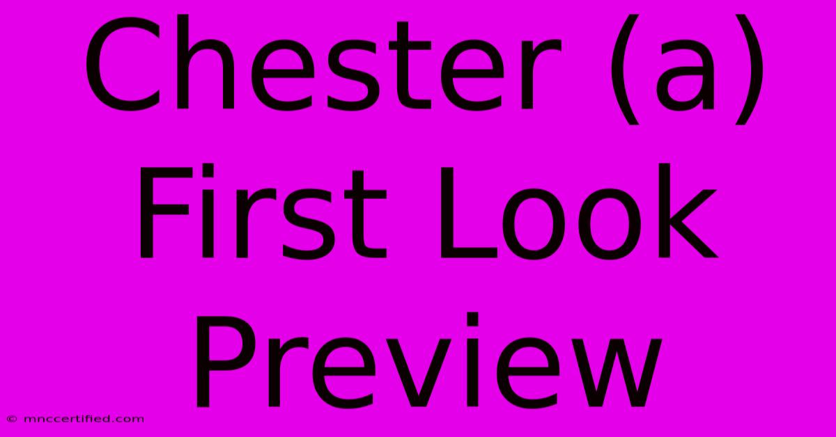 Chester (a) First Look Preview