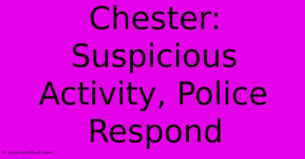 Chester:  Suspicious Activity, Police Respond