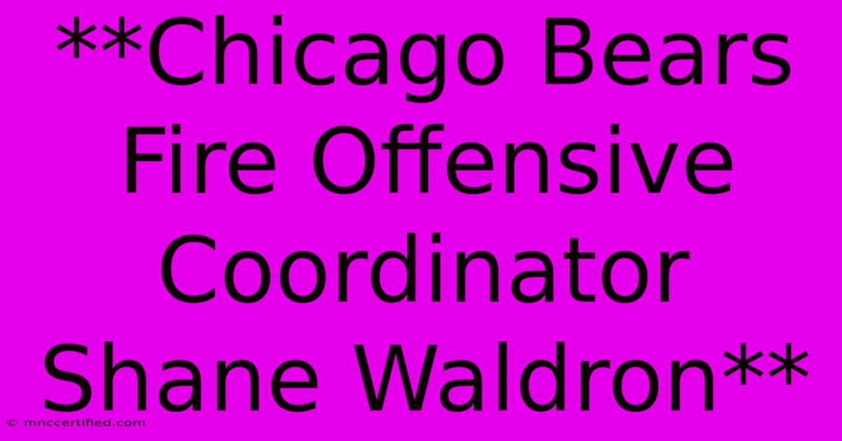 **Chicago Bears Fire Offensive Coordinator Shane Waldron**