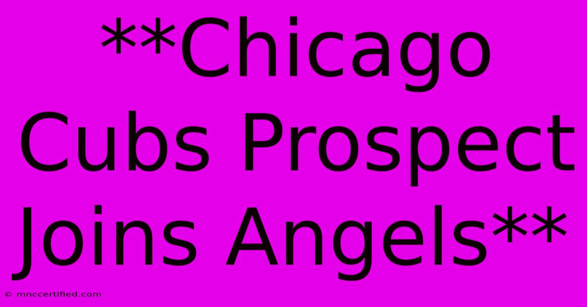 **Chicago Cubs Prospect Joins Angels**