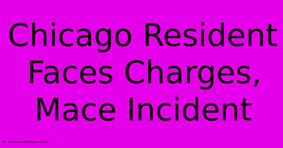 Chicago Resident Faces Charges, Mace Incident