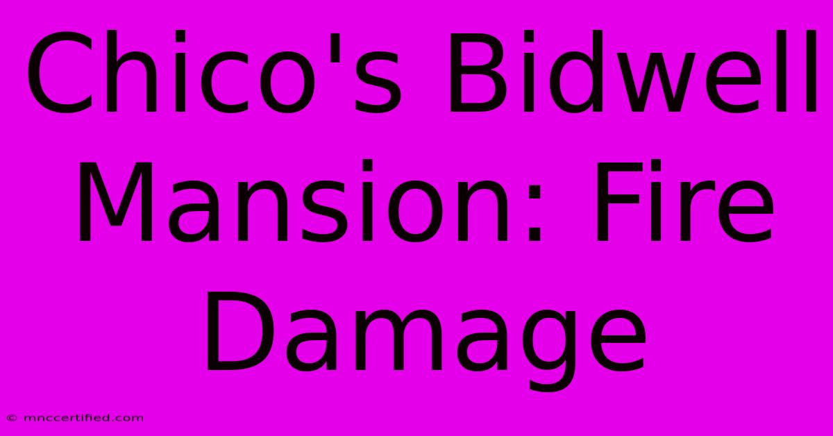 Chico's Bidwell Mansion: Fire Damage