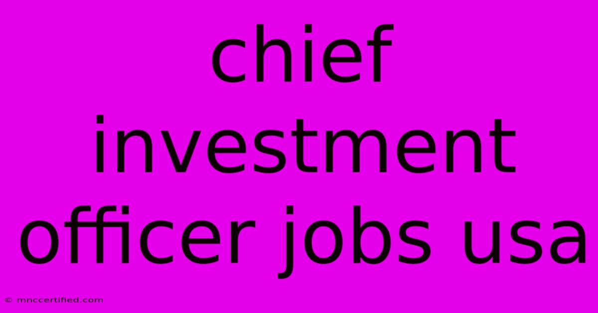 Chief Investment Officer Jobs Usa