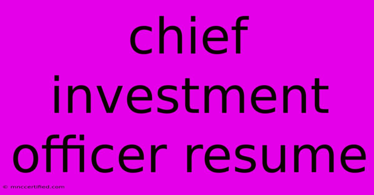 Chief Investment Officer Resume